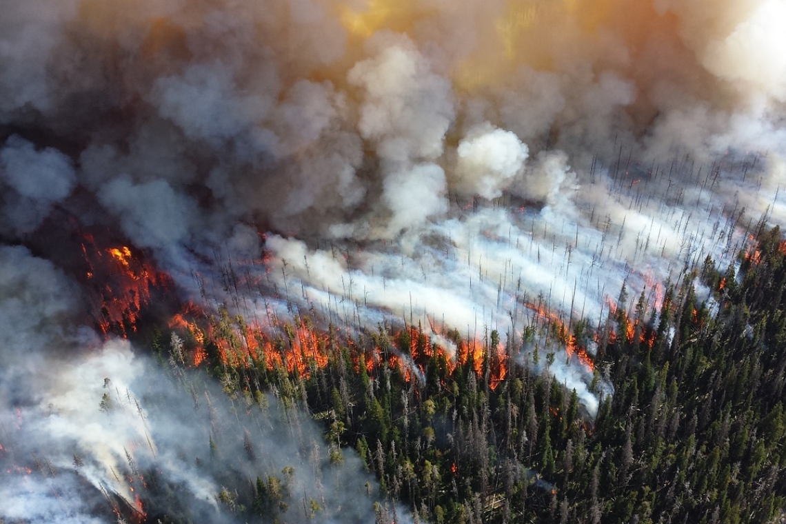 Ouest américain : La malédiction des feux de forêt